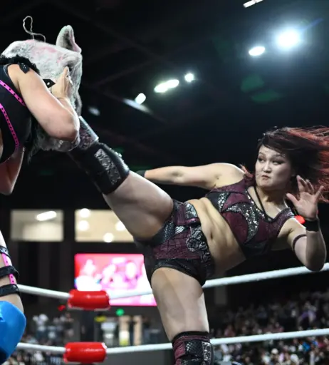 Image 10801557 from Women of Joshi Puroresu