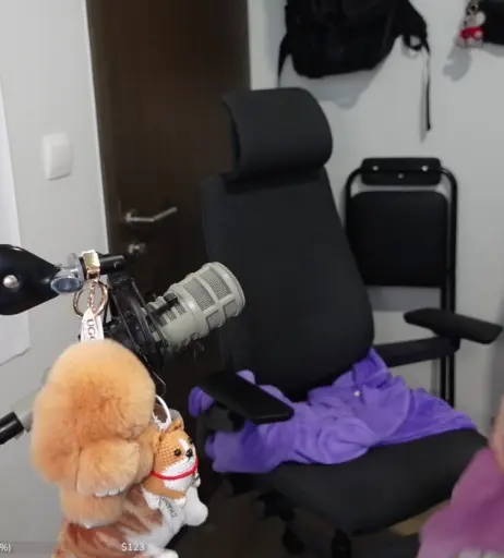 Image 10802832 from Zumi