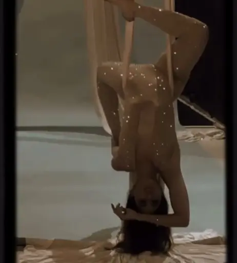 Image 10711422 from Carol Castro