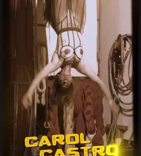 Image 10711420 from Carol Castro