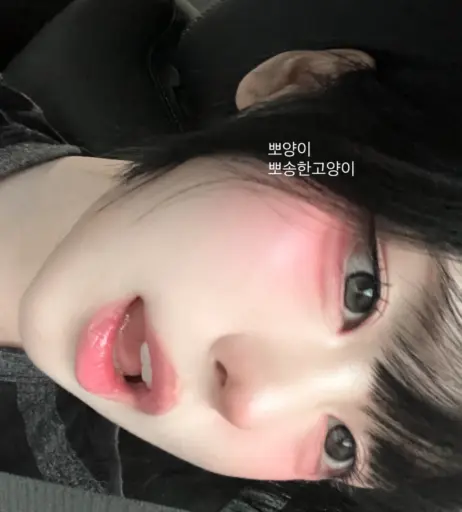 Image 10725425 from Susan__k__03