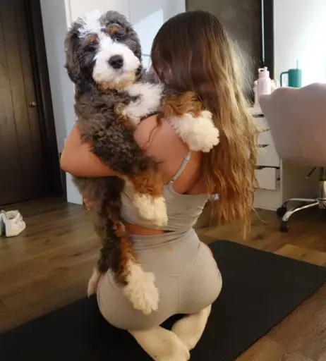 Image 10725635 from chloeparker6277 / bunnybunny924 / chloe.parkerrrr