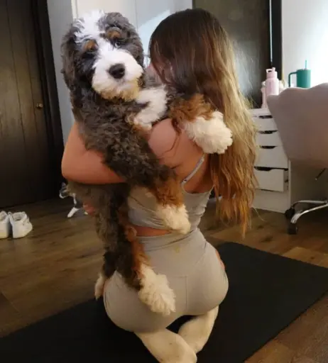 Image 10725639 from chloeparker6277 / bunnybunny924 / chloe.parkerrrr