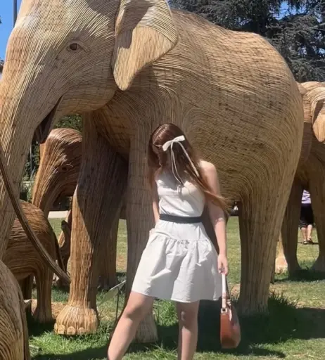 Image 10725370 from Sylvia Mari-Claire