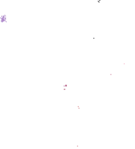 Image 10708906 from Bella Brookz | MissBella