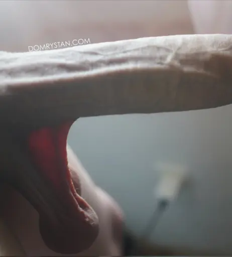 Image 10705255 from Dominique Rystan