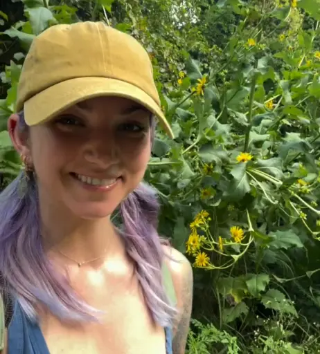 Image 10798612 from SeeCatPlay / SeeCatWander