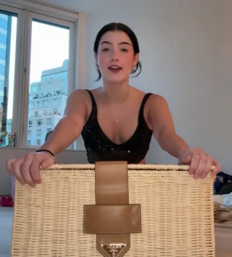 Image 10795281 from Charli D&#039;Amelio / Charli Damelio