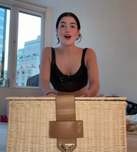 Image 10795279 from Charli D&#039;Amelio / Charli Damelio