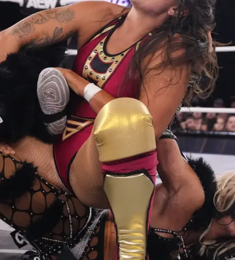 Image 10788965 from Women of Professional Wrestling