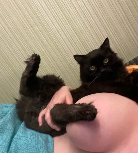 Image 10787225 from katrlvinaa