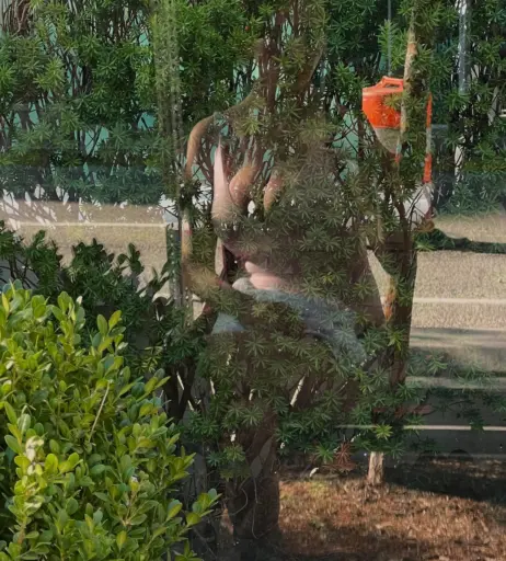 Image 10656198 from onlyzaboomafoo | lycragun | bondgirlmechsuit