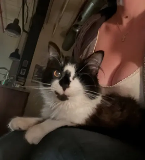 Image 10656167 from onlyzaboomafoo | lycragun | bondgirlmechsuit