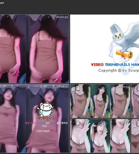 Image 10665897 from world1104 / 세계__ / hapark