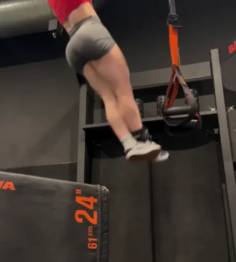 Image 10661266 from Aline Dessine | aline_dessine