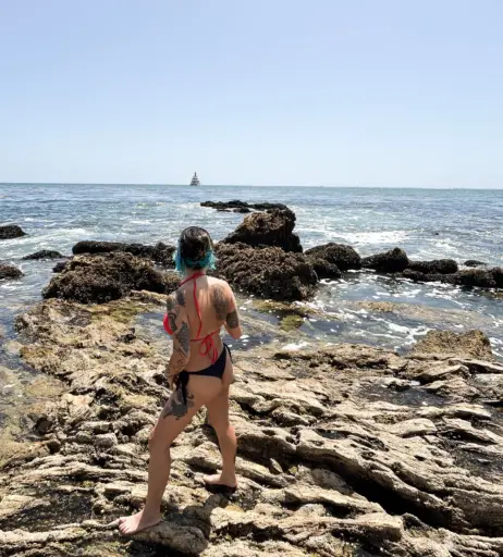 Image 10678389 from cowgirllaura