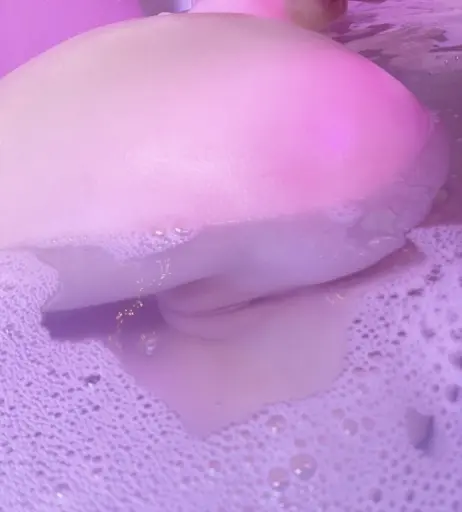 Image 10647926 from Nymphet_Angel | Luna_Bunny