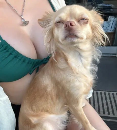 Image 10615320 from JadeyAnh | vylerria