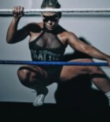 Image 10617858 from WWE Natalya Neidhart , The Boat