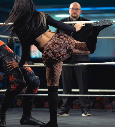 Image 10617407 from Women of Professional Wrestling