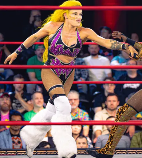 Image 10617056 from Taya Valkyrie