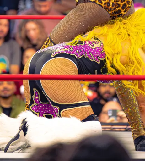 Image 10617055 from Taya Valkyrie