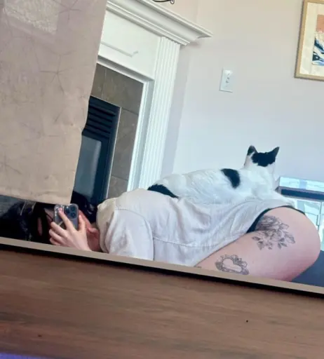 Image 10616291 from CottontailVA