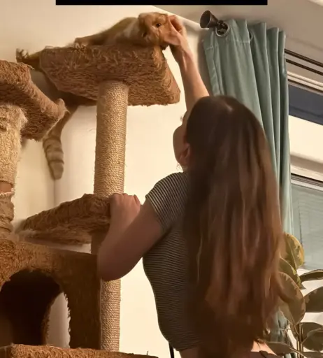 Image 10611993 from Ayytrae / Angelica Trae