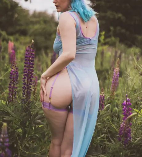 Image 10612485 from Bluejay
