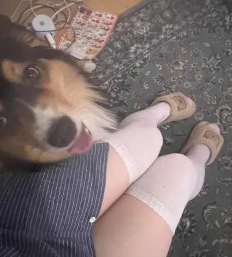 Image 10612641 from inislein