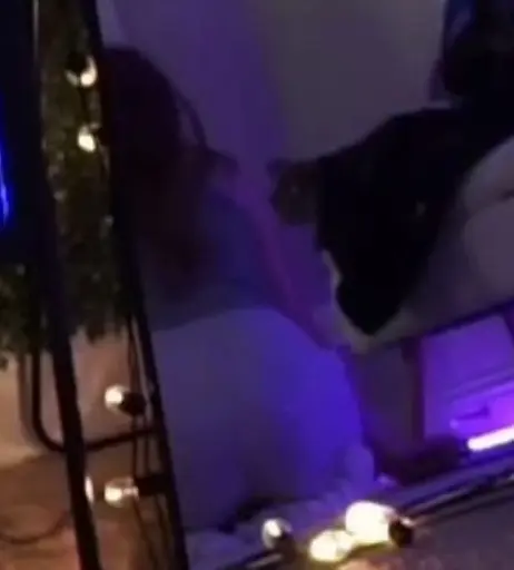 Image 10612323 from Lyssaurora