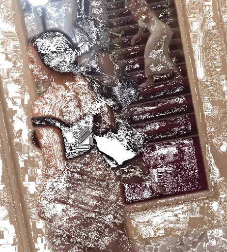 Image 10624252 from Olivia Olson