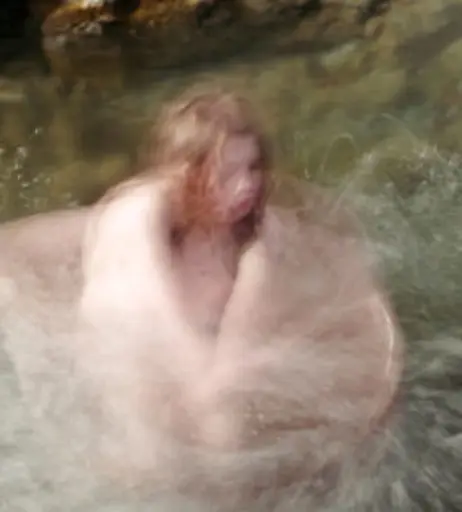 Image 10627459 from Icelandic Selkie