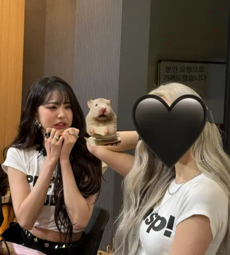 Image 10620383 from Jang Won-young / 장원영 WONYOUNG