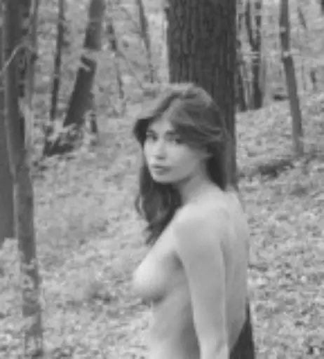 Image 10631224 from DeanRalphs / Anna.Ralphs OF