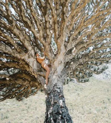 Image 10608686 from Leonie Buchegger