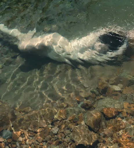 Image 10608677 from Leonie Buchegger