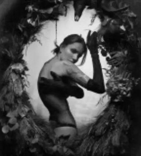Image 10695347 from Real Red Fox | alenagerman | alena german