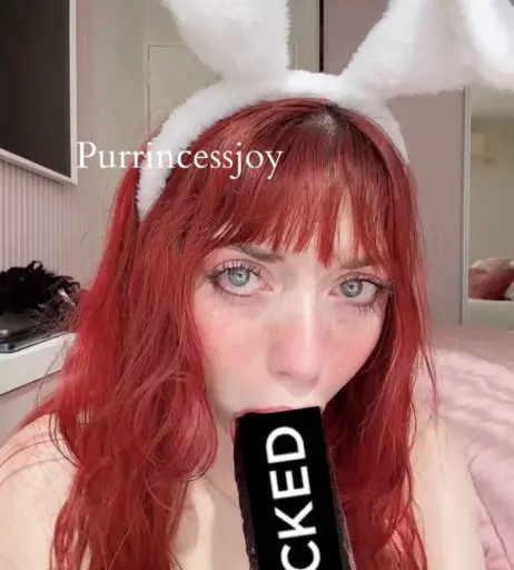 Image 10686094 from Purrincessu | Purrversa