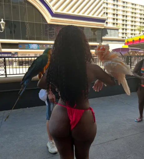 Image 10681599 from Neenah Brown