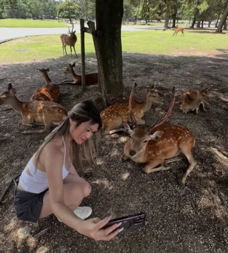 Image 10683950 from Julieeepham