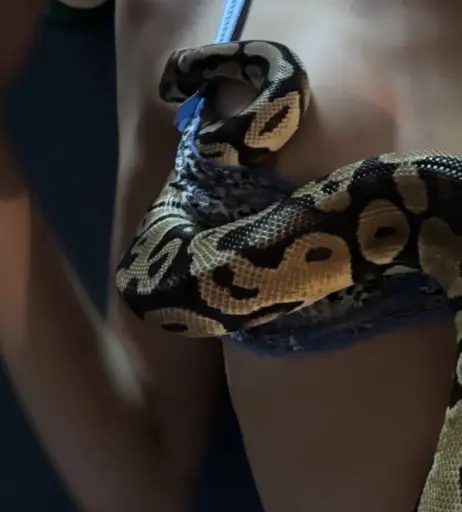 Image 10682869 from Mazzy Joya / mazzyjoya / petalspliff