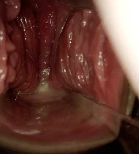 Image 10529612 from Ariana Aimes | arianaaimes