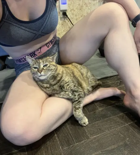 Image 10599503 from kitty_bit_games