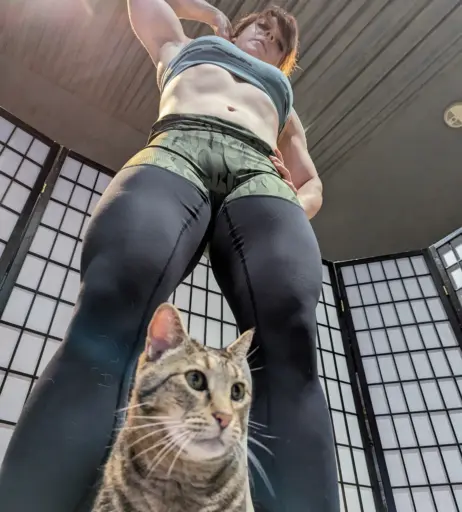 Image 10599507 from kitty_bit_games