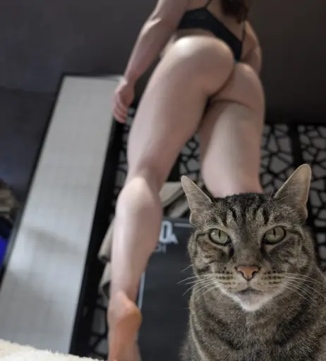 Image 10599470 from kitty_bit_games