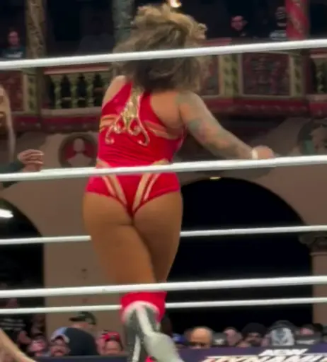 Image 10311123 from Women of Professional Wrestling