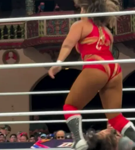 Image 10311124 from Women of Professional Wrestling