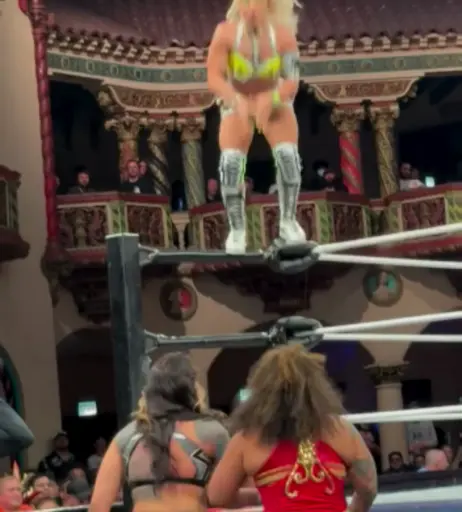 Image 10311129 from Women of Professional Wrestling