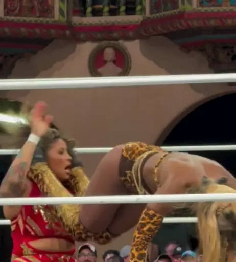 Image 10311114 from Women of Professional Wrestling